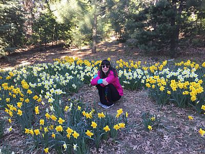 PhoenixRising profile photo