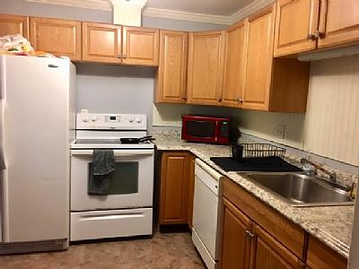 kplante2 profile photo