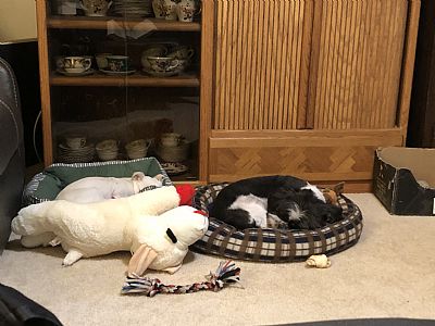 Juliff61 profile photo