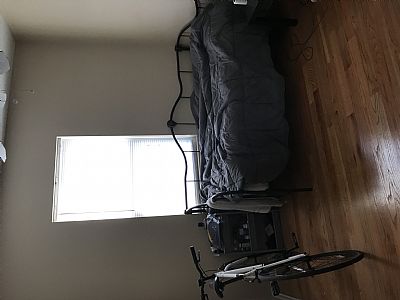 scubasteve3335@gmail.com profile photo