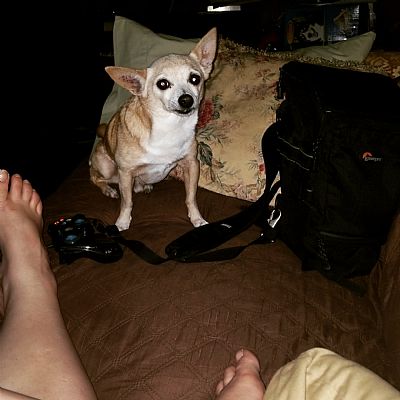 Whitchelle22 profile photo