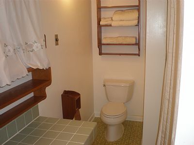 Palemoon profile photo