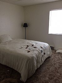 Aj1russo profile photo