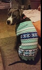 Kourterbag profile photo