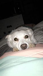 Cncook1018 profile photo