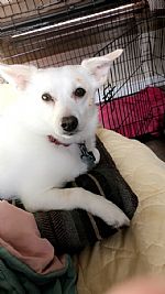 Cncook1018 profile photo