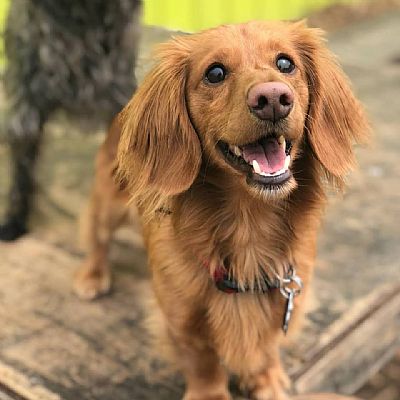 kriztaaa profile photo