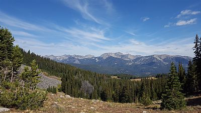 aftonf profile photo