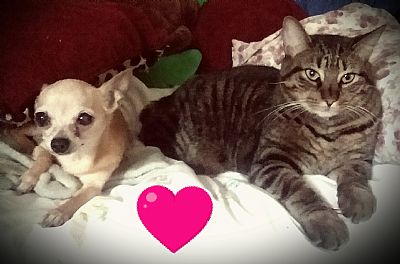 VJ25045 profile photo