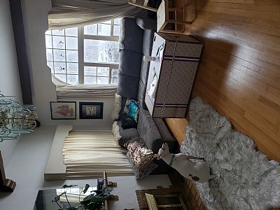 LotusLove profile photo