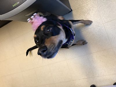 Nmello515 profile photo