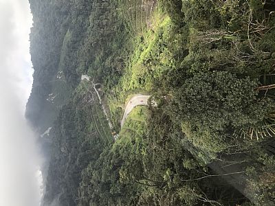 Berriberri profile photo