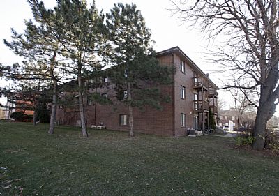 Ylambretta profile photo