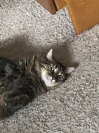 JishFish profile photo