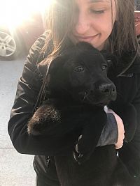 kstinson profile photo