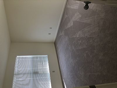 BS2015 profile photo