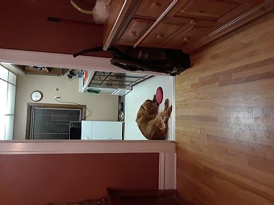 Dchandler profile photo