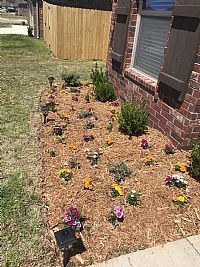 Sln002 profile photo