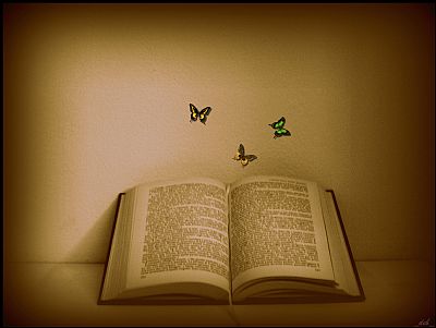 ElizabethFS17 profile photo