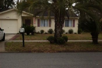 DansGirl profile photo