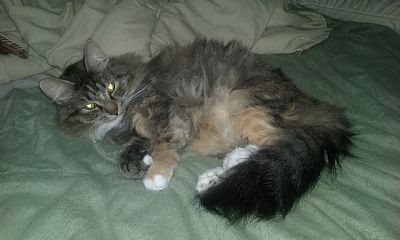 AngelDrouet profile photo