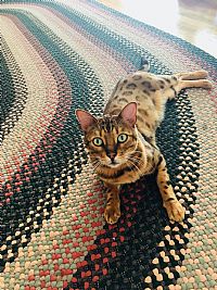 a_dutt98 profile photo