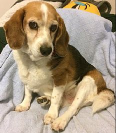 MSUxferKEF profile photo