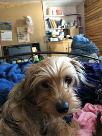 Oddball profile photo