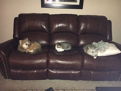 Tsroarke12 profile photo