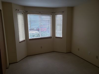 Shanered profile photo