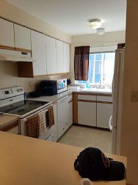 Shanered profile photo