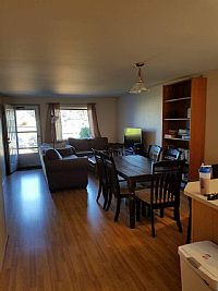 Shanered profile photo