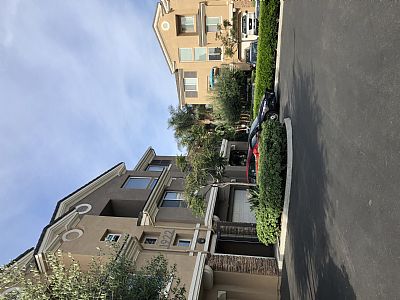 edjwebb profile photo