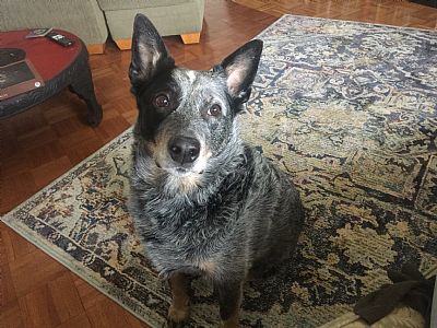 Debralee profile photo