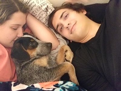 Kaylaroth profile photo