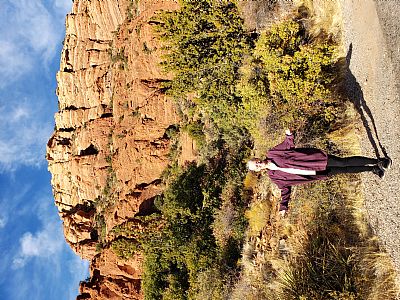 zendawn profile photo