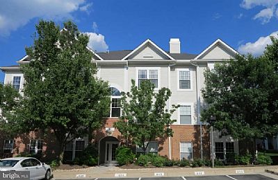 jlaureys profile photo