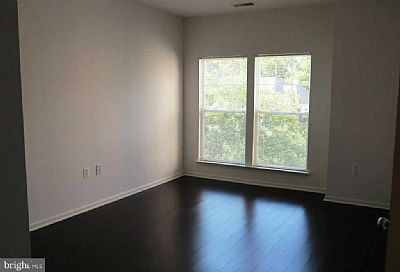 jlaureys profile photo