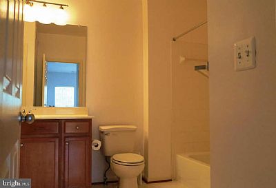 jlaureys profile photo