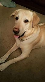 ChefDale4368 profile photo