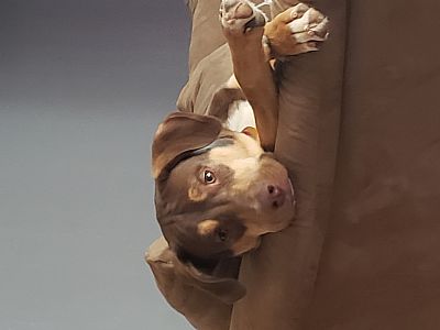 Hollysmall profile photo