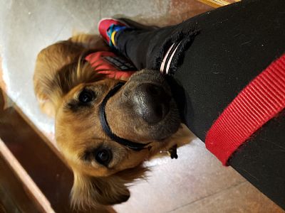 Hollysmall profile photo