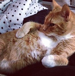 astallworth profile photo