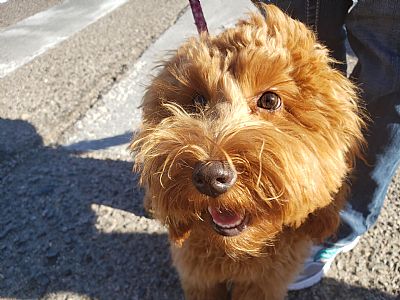 comewithme profile photo