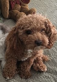 Urbanski0702 profile photo