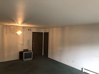 Shervin profile photo