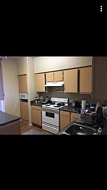 SolomonB profile photo