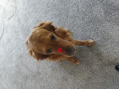 Brennym18 profile photo