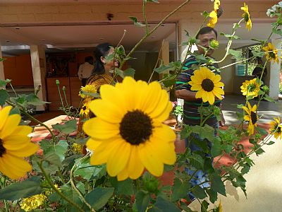 Umangi2Sonu profile photo