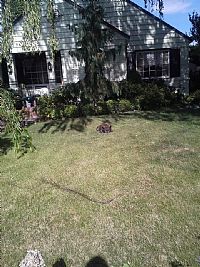 billyvans profile photo